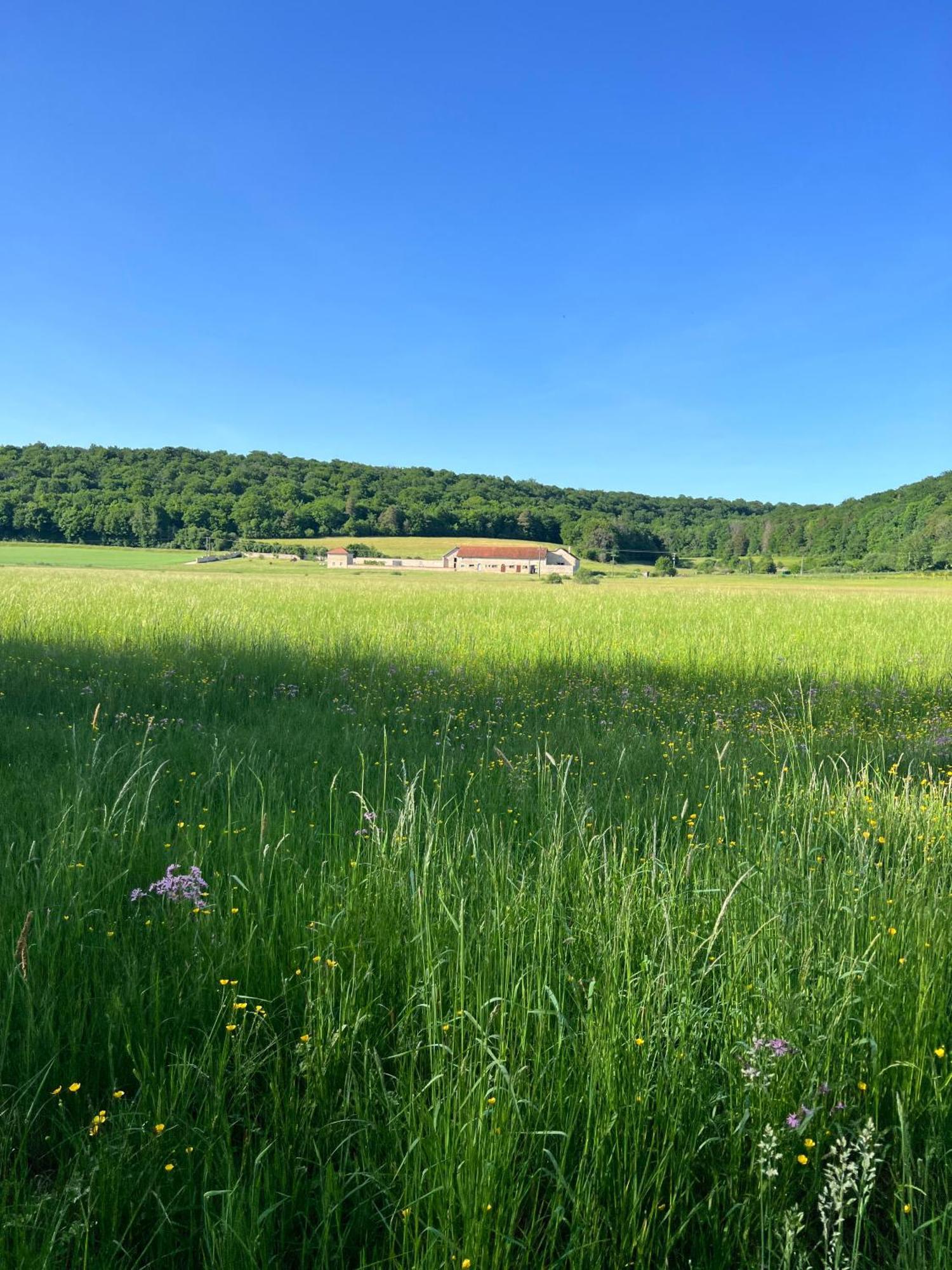Ferienhaus 6 Pers De La Vallee De L'aujon